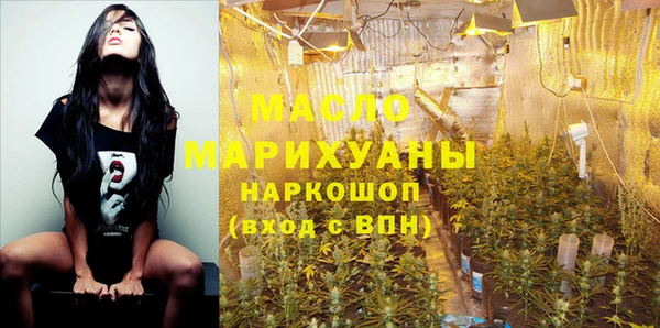 стаф Медногорск
