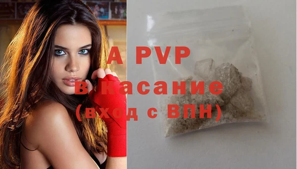 стаф Медногорск