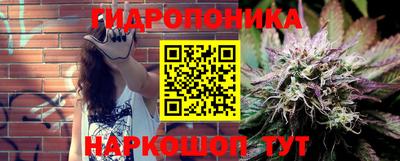 стафф Гусев