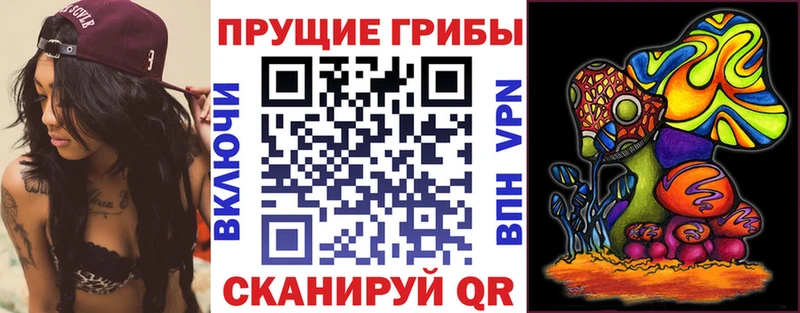 закладка  Зеленогорск  Галлюциногенные грибы MAGIC MUSHROOMS 