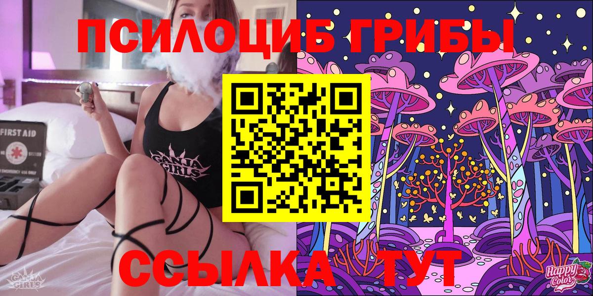 Галлюциногенные грибы Psilocybe  Вход с VPN  Зеленогорск 