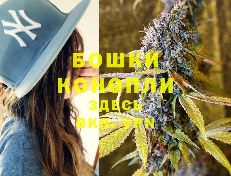 Марихуана THC 21%  МЕГА маркетплейс  Зеленогорск 